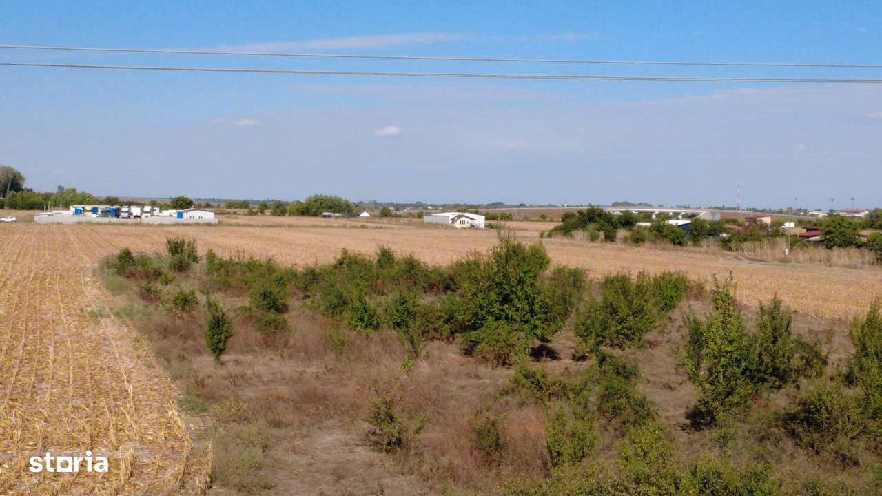 Teren Bragadiru - Podisor - Imagine principală: 5/7