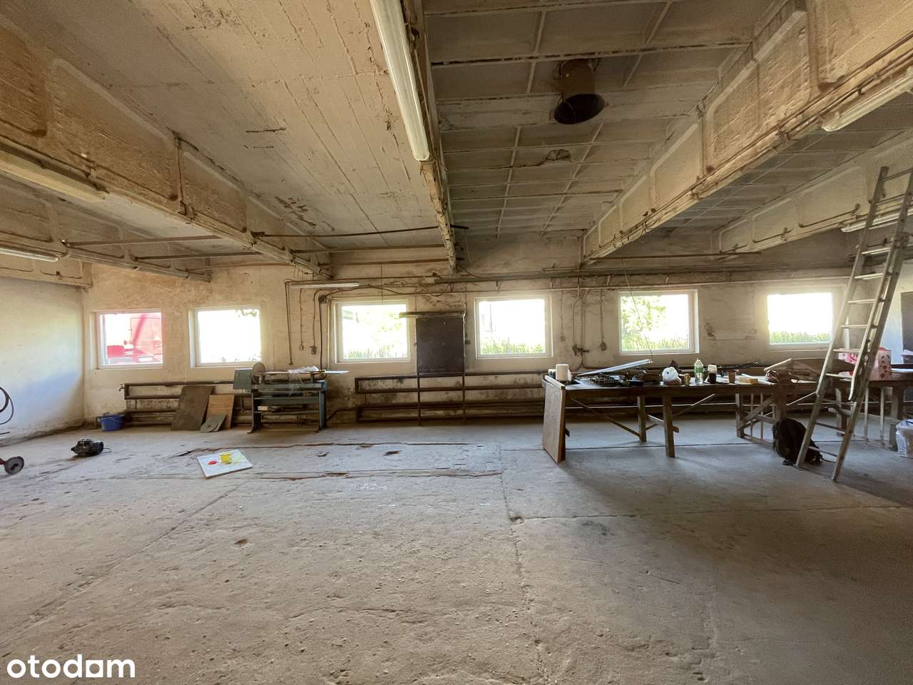 Hala w Policach wynajem na terenie przemysłowy - Pełny obrazek: 5/20