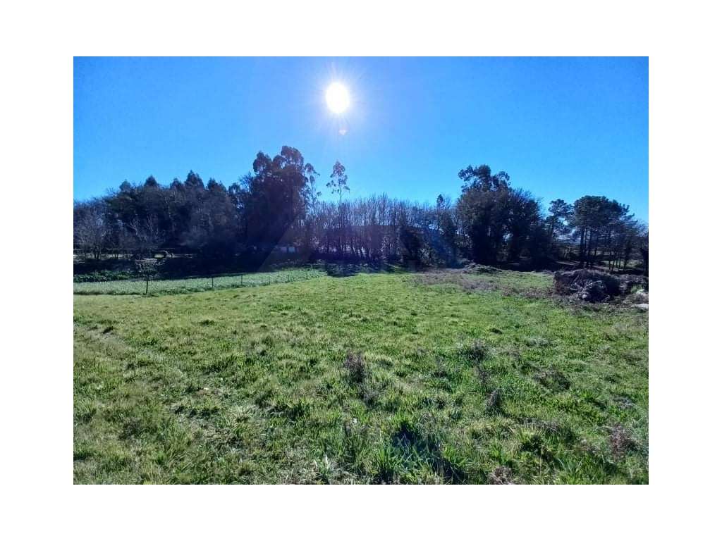 Terreno para construção em Formariz - Grande imagem: 5/11