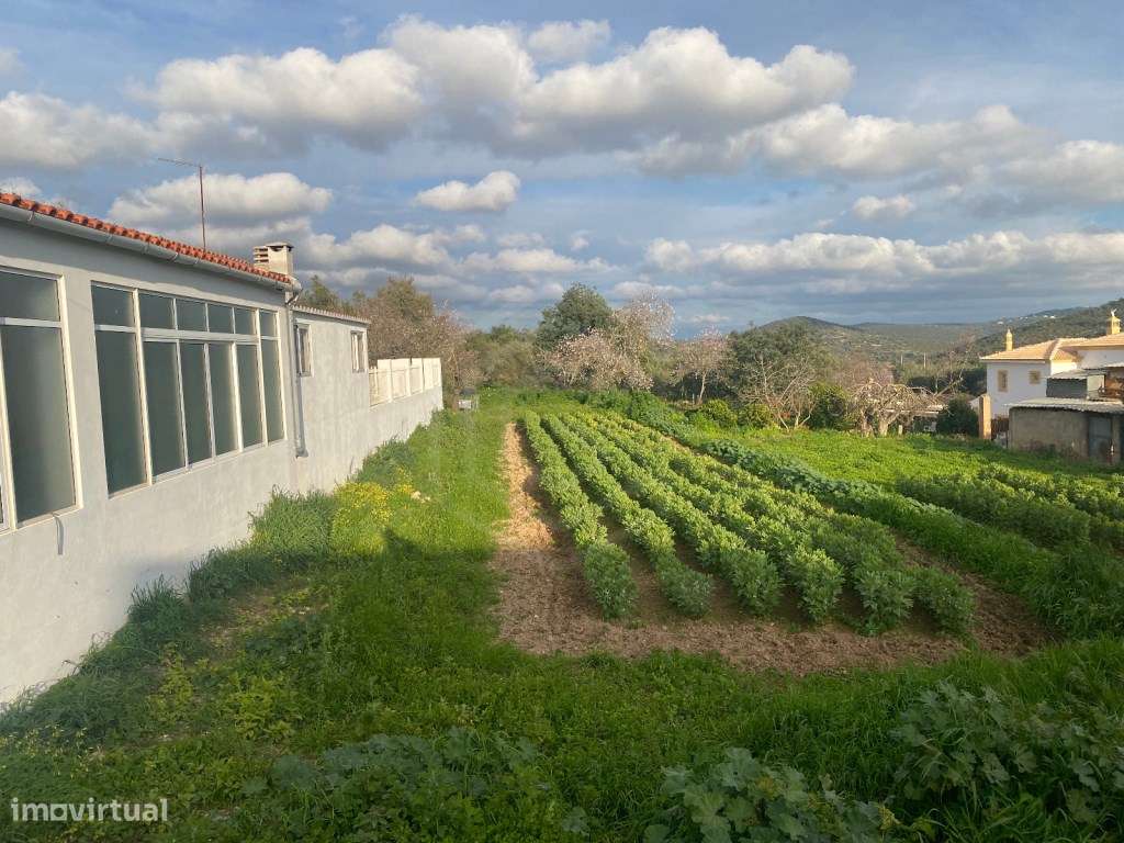 Lote de terreno Rústico com 1000m2, Albufeira, Algarve - Grande imagem: 4/16
