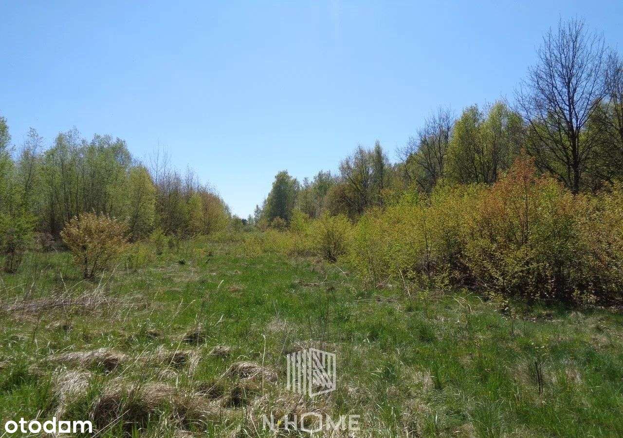 Działka w doskonałej lokalizacji/ 5032m2 - Pełny obrazek: 5/9