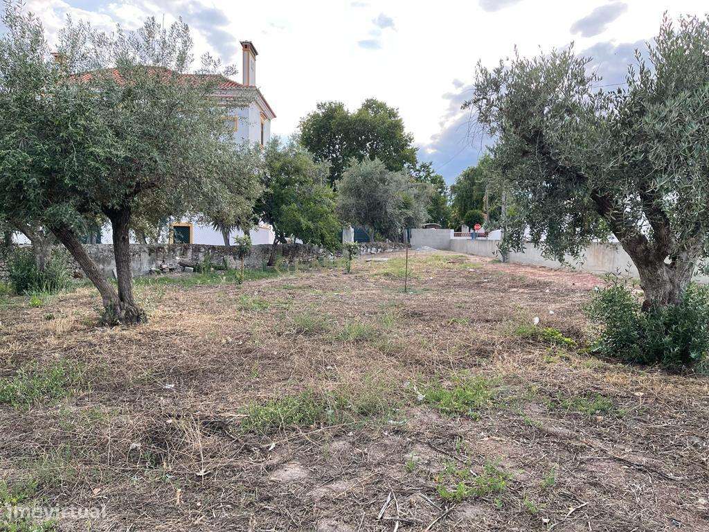 Excelente Terreno em Santa Eulalia/Elvas-9