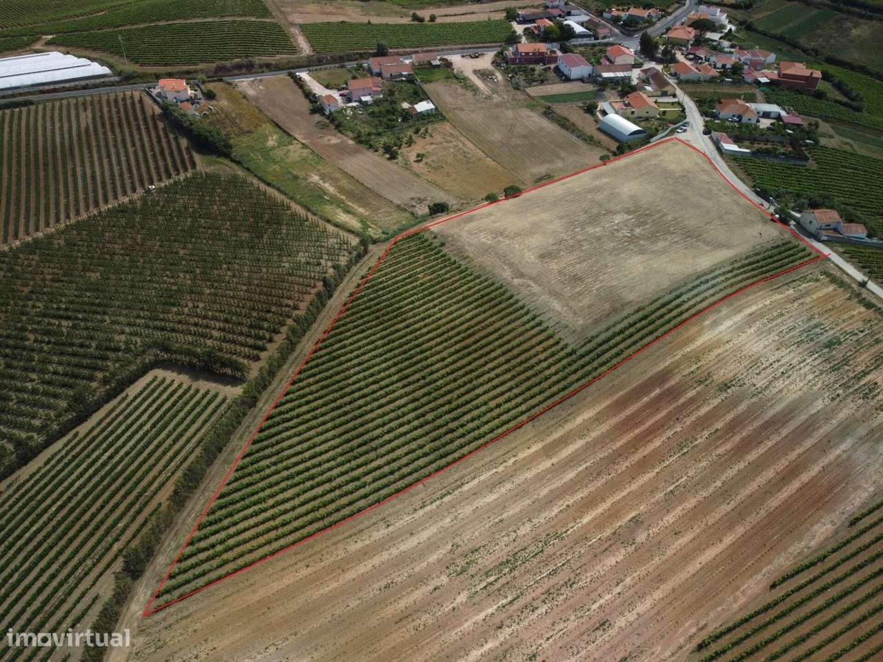 OPORTUNIDADE | TERRENO DE 15.080 M² | FREIRIA | TORRES VEDRAS - Grande imagem: 5/14