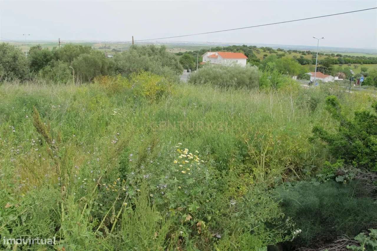 Terreno Elvas - Grande Potencial - Grande imagem: 4/5