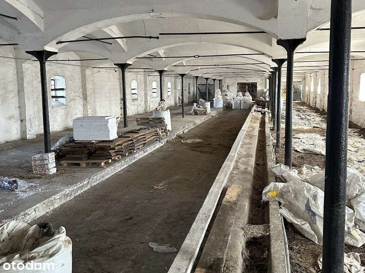 Gospodarstwo rolne | Hala | Biurowiec |  Mieszkania  i  Magazyn - Pełny obrazek: 4/14