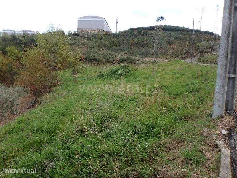 Terreno Rústico / Seia, Santa Marinha e São Martinho - Grande imagem: 2/10