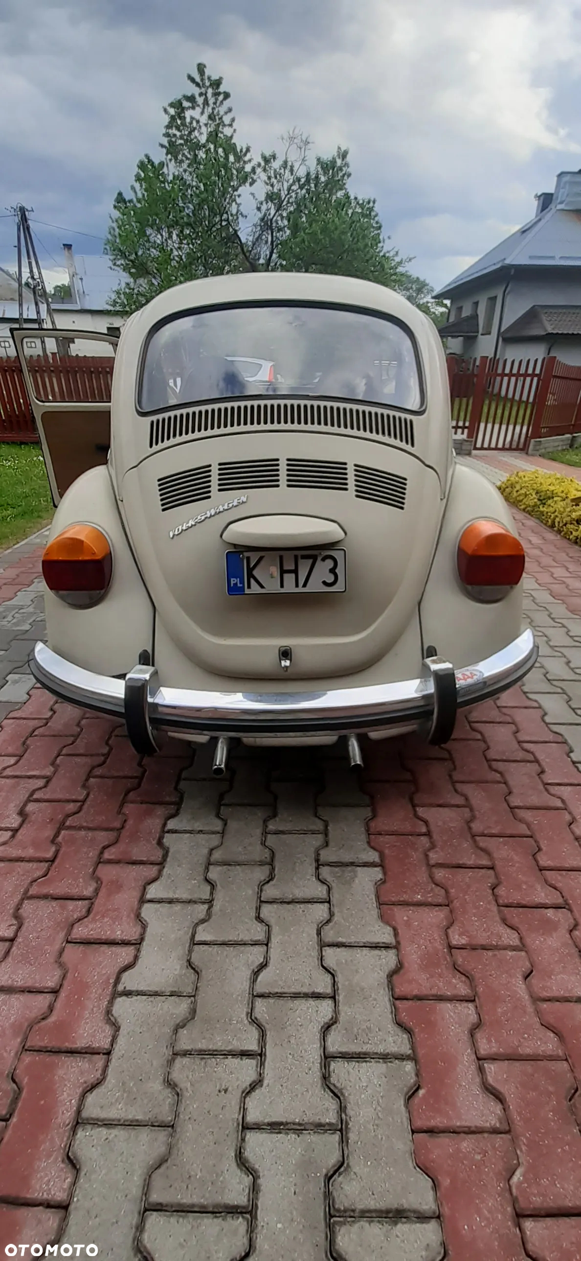 Volkswagen Beetle - 6