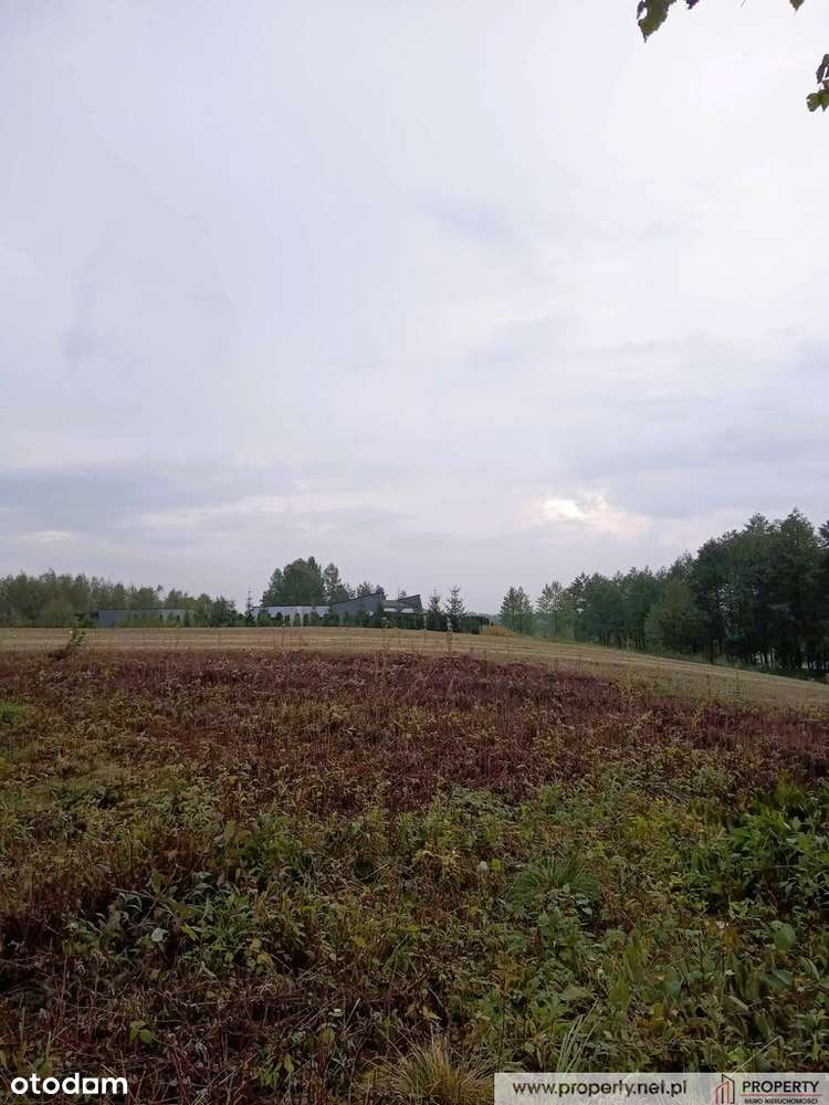 Działki budowlane, Góra Motyczna, gm. Żyraków - Pełny obrazek: 5/9