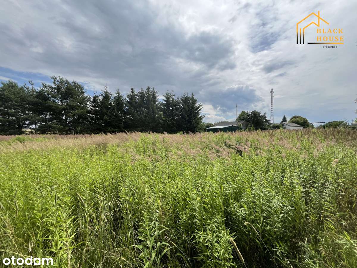 Działka budowlana - Pełny obrazek: 4/4