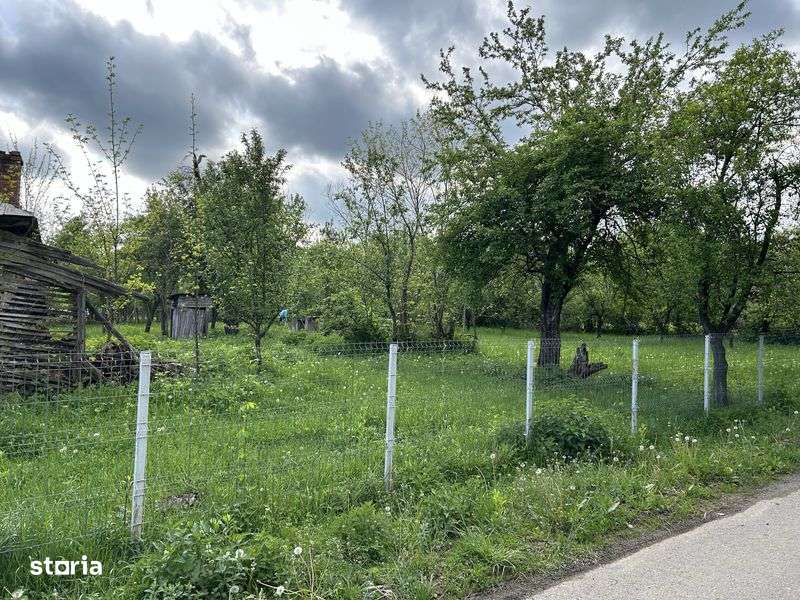 Teren de vanzare Brebu, judetul Prahova - Imagine principală: 5/7