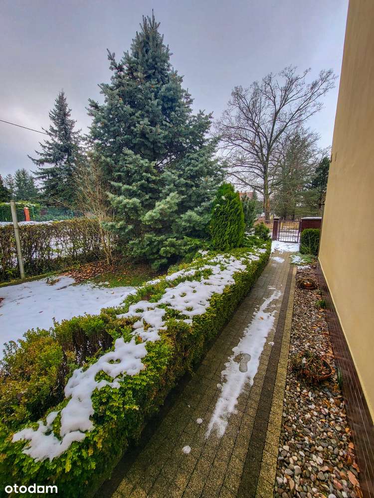 Cicha okolica | Ustawna Przestrzeń | Garaż | Ogród | ENG-17