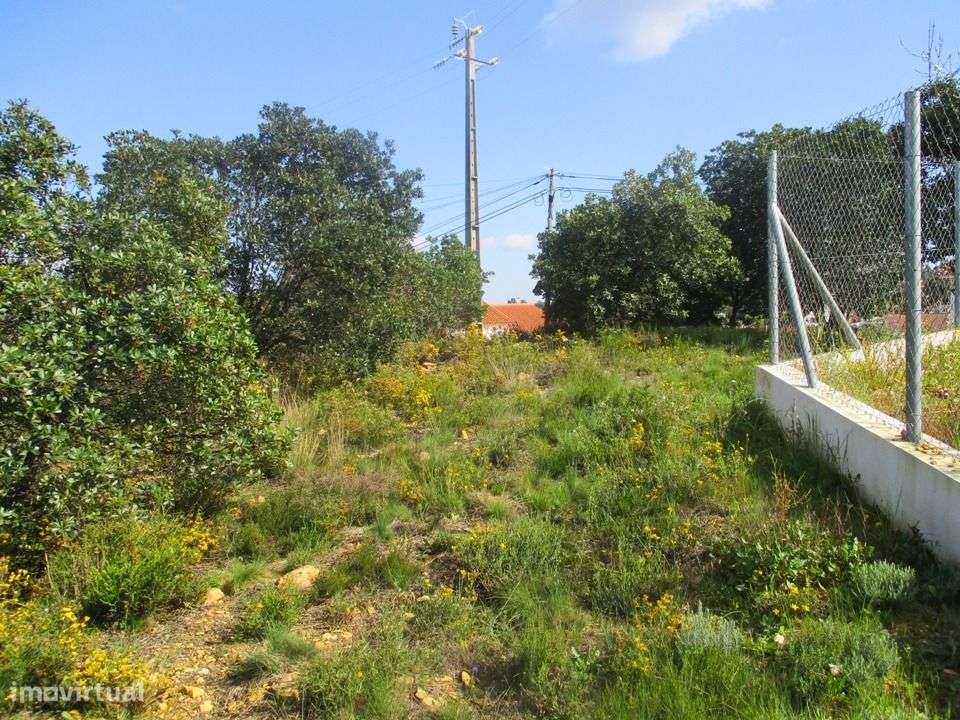 Quinta - Grande imagem: 4/13