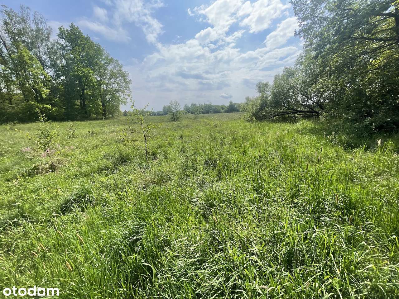 Super Atrakcyjna pod Rezydencję - Pełny obrazek: 5/6