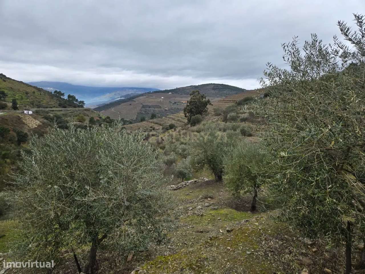 Refúgio Único no Coração do Douro - Grande imagem: 4/6