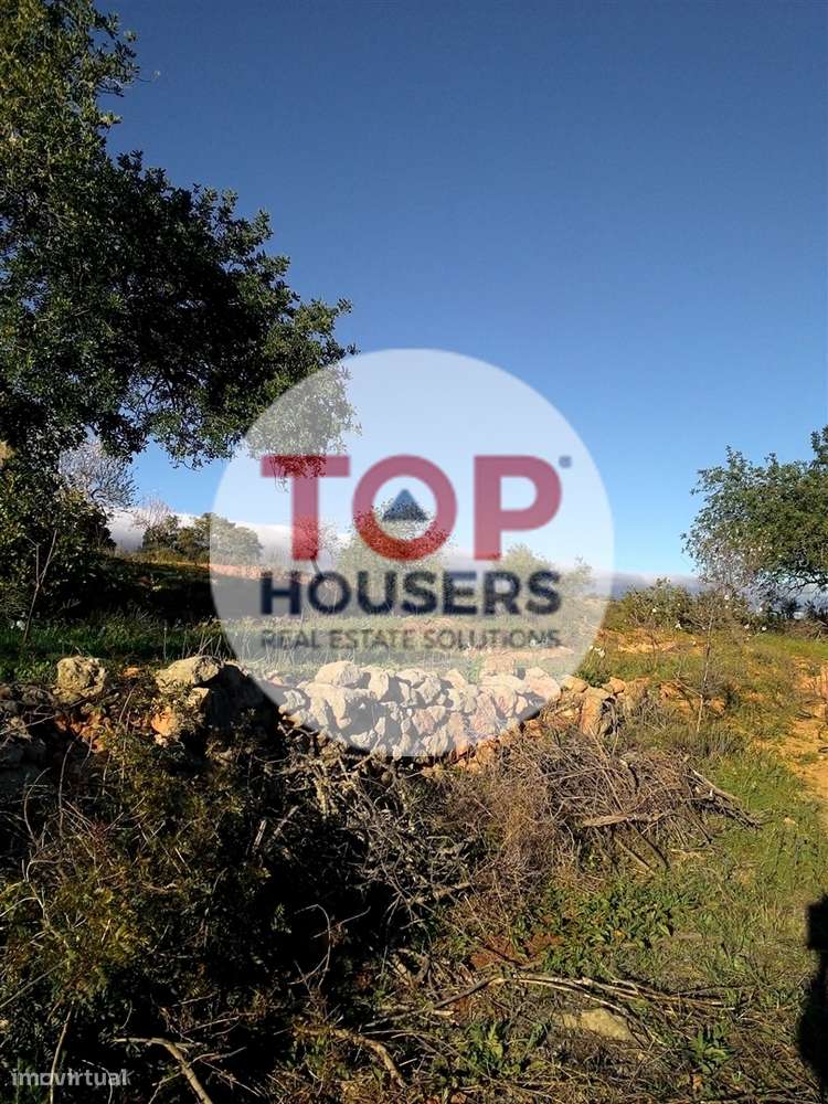 Terreno Rústico - Certificação Biológica - 7ha - Grande imagem: 3/5