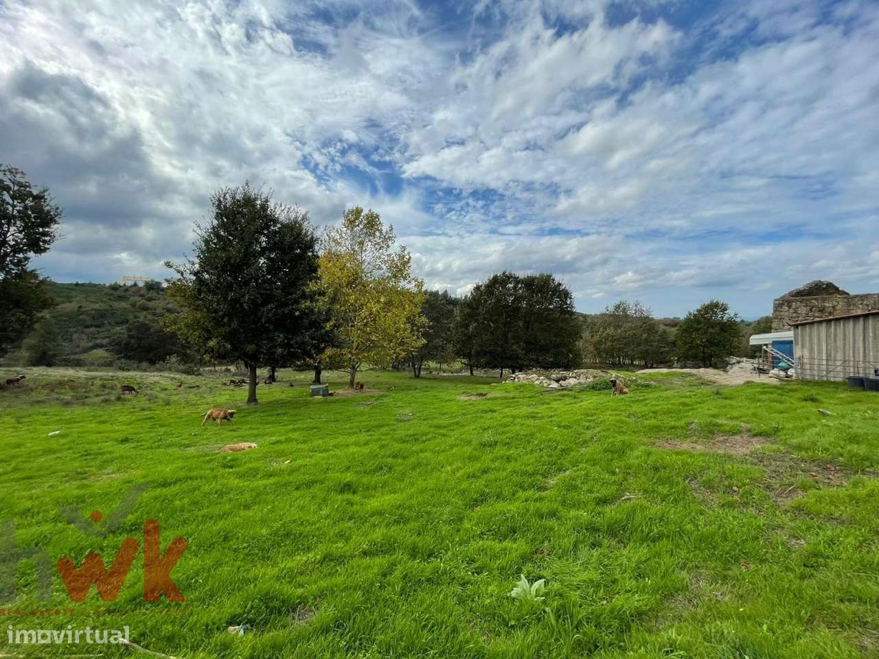 Quinta com 5.4 hectares | Ruína e Açude - Grande imagem: 4/20