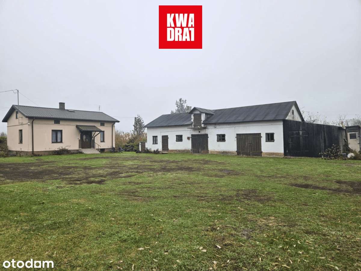 Dom 80m2 na działce 2ha z budynkami gospodarczymi - Pełny obrazek: 5/8