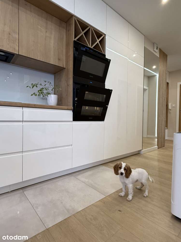 Apartament 3 pokoje osiedle Park Moniuszki, Mysłowice-12