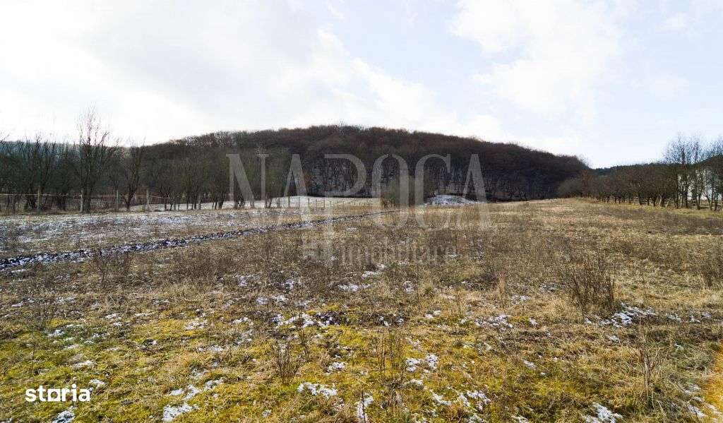 Teren extravilan pentru constructii de vanzare in Popesti - Imagine principală: 1/4