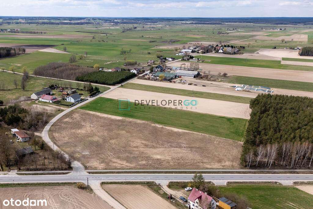 Działka inwestycyjna 1,29 ha, blisko Sypniewa - Pełny obrazek: 5/5