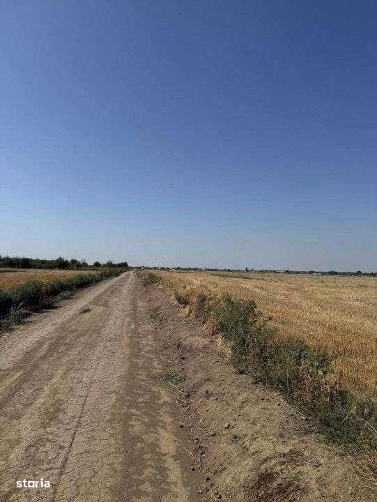 Teren 10.000 mp – Dragomiresti Vale, Ilfov - Imagine principală: 3/5