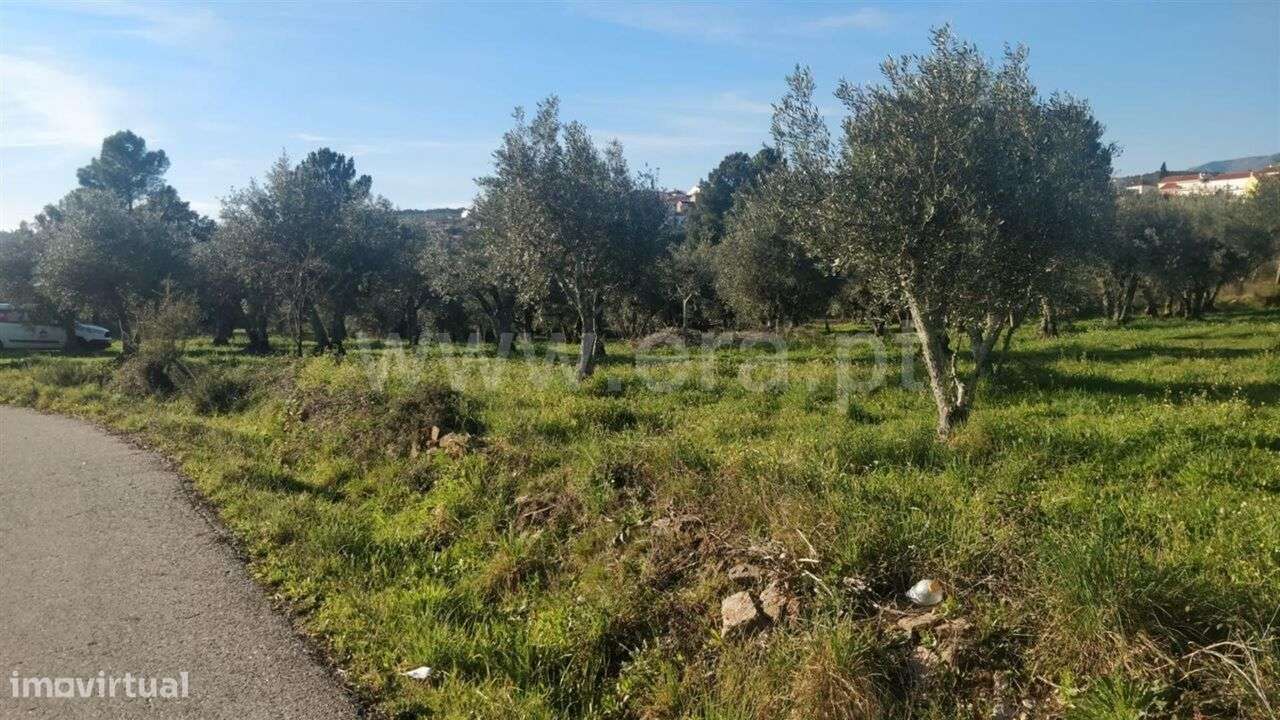 Terreno Rústico / Covilhã, Dominguiso - Grande imagem: 5/6