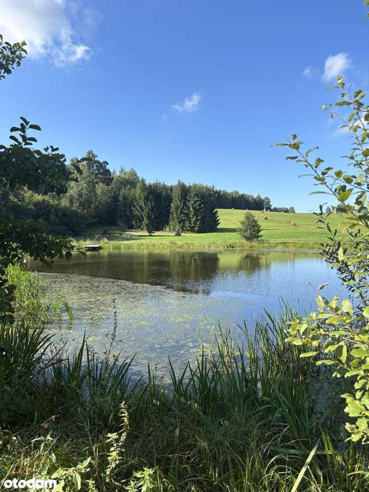 Działki budowlane Rogowo blisko Elbląga. - Pełny obrazek: 2/17