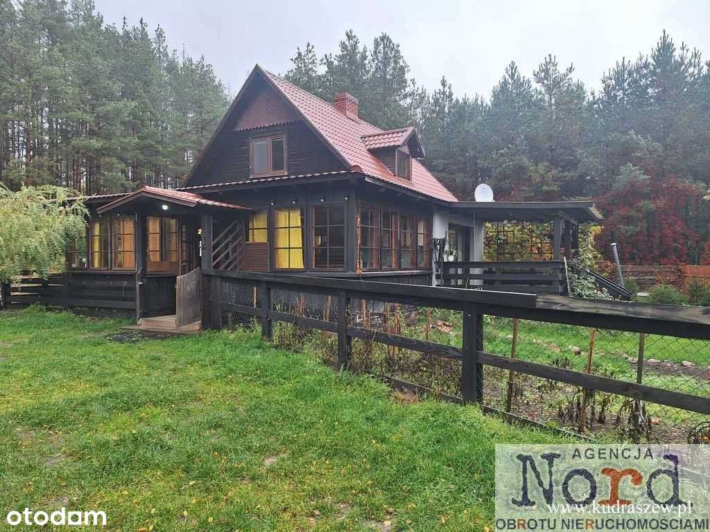 Dom w Puszczy Augustowskiej - Pełny obrazek: 5/19