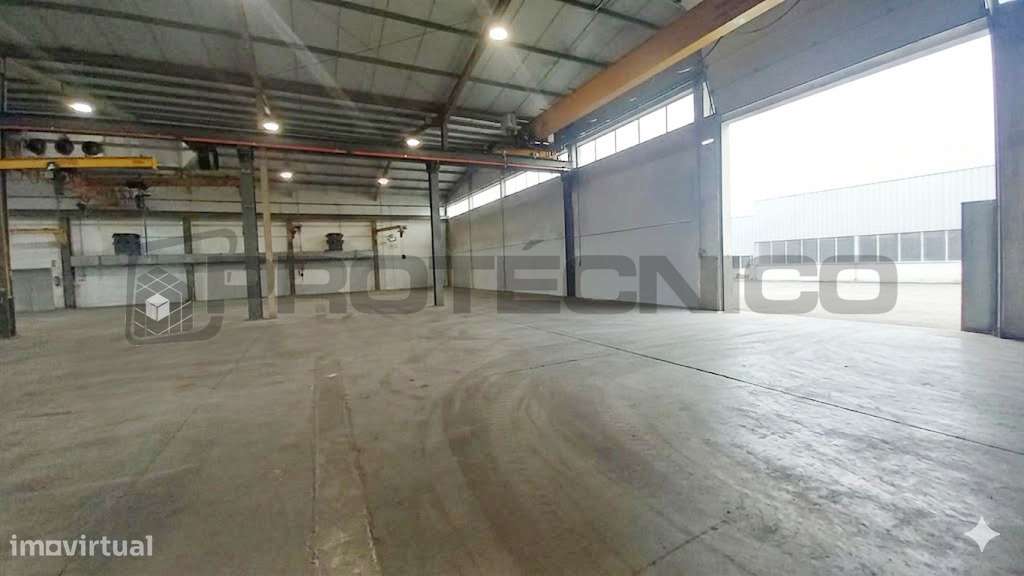 Armazém, 2 400 m², Oiã-5