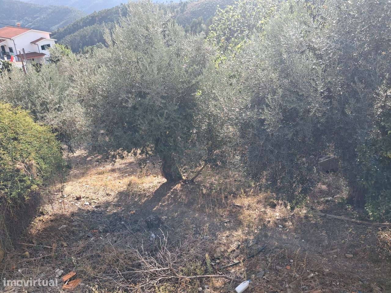 Casa de Aldeia, tipologia T2 + Sótão para recuperação total-11