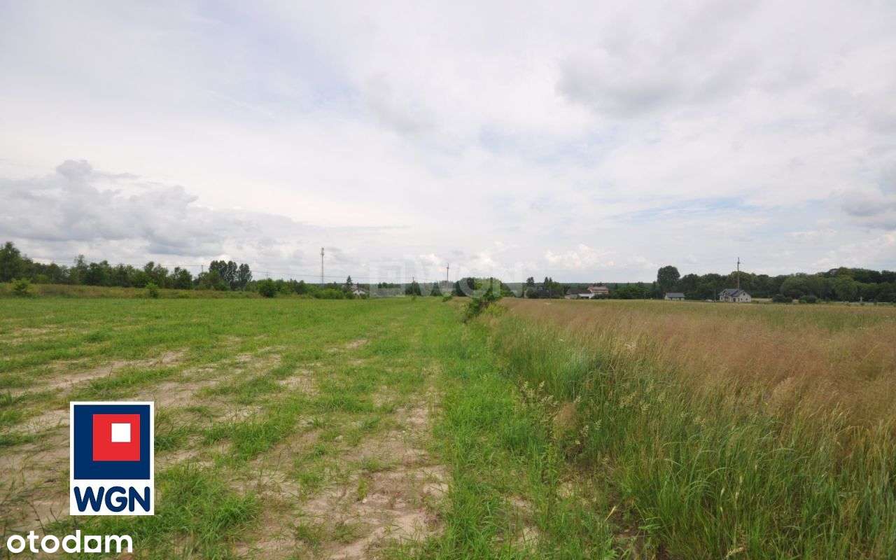 Działka, 2 826 m², Kodrąb-13