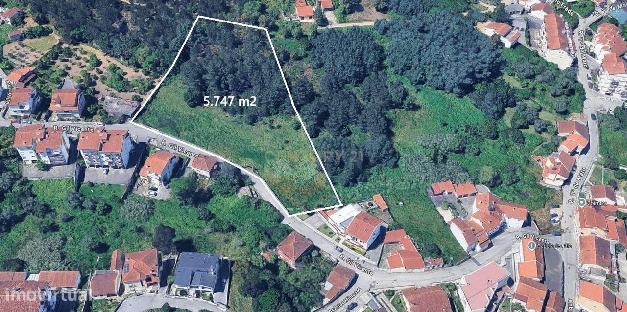 Terreno 5747 m2 I Fala - São Martinho do Bispo I Viabilidade Construçã-9