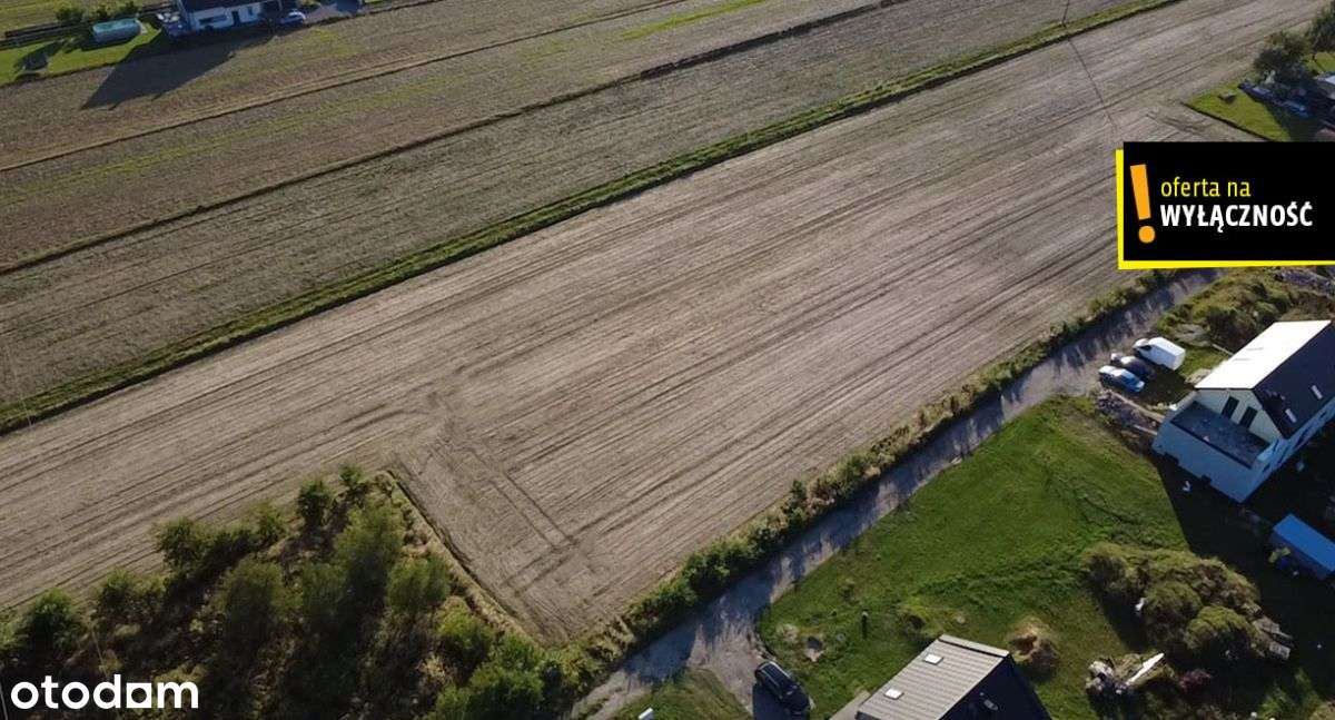 Twój Fundament Szczęścia w Książenicach - Pełny obrazek: 4/9