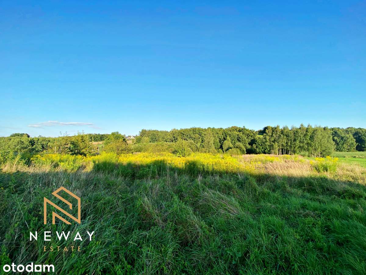 Atrakcyjna działka w malowniczej okolicy - Pełny obrazek: 4/9