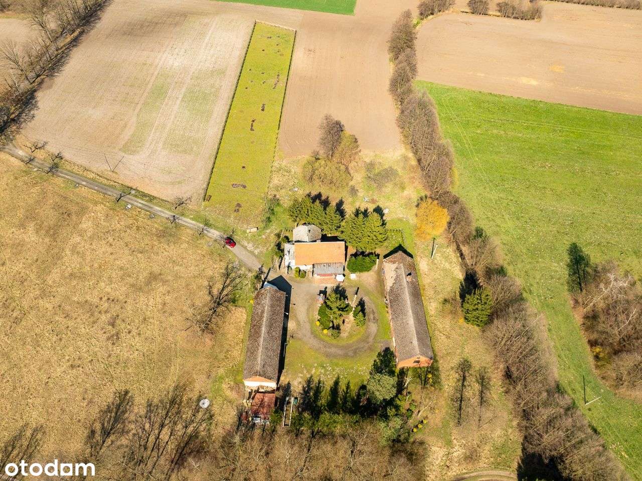 Piękne siedlisko z potencjałem k. Nowego Tomyśl - Pełny obrazek: 5/19