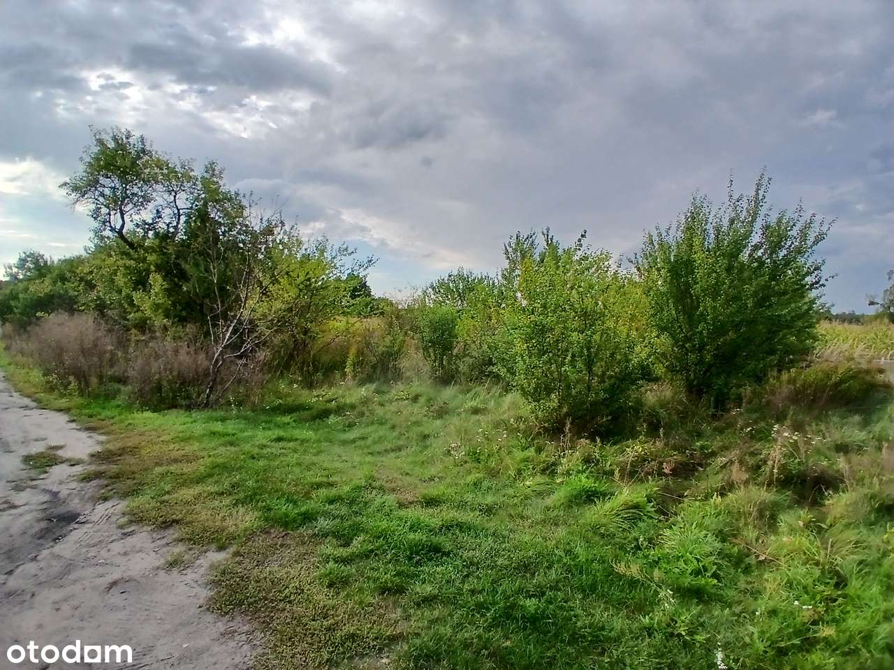 Na sprzedaż działka 3000 m2 w Mosinie (Gmina Witnica) - Pełny obrazek: 4/4