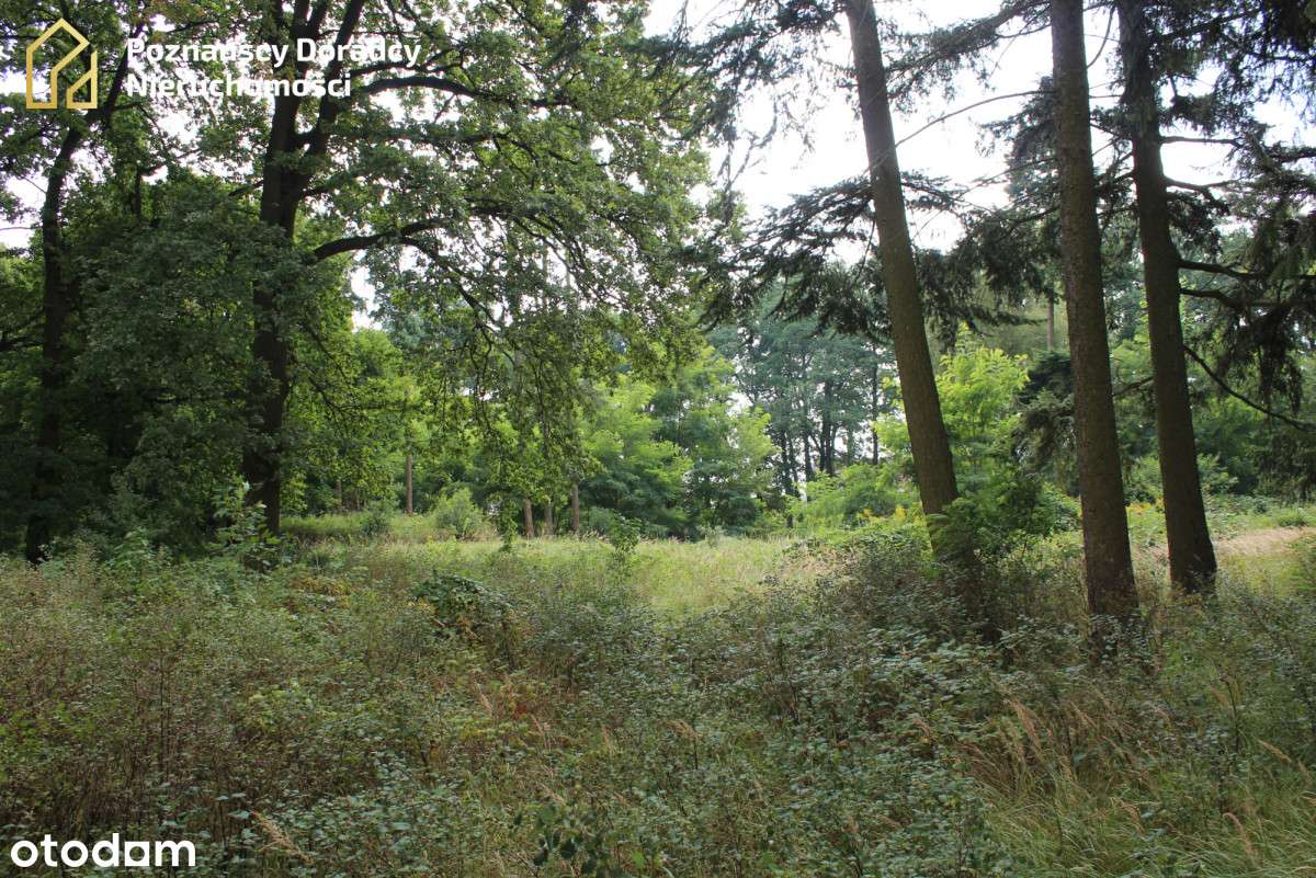 Działka z parkiem idealna po dom opieki - Pełny obrazek: 4/7