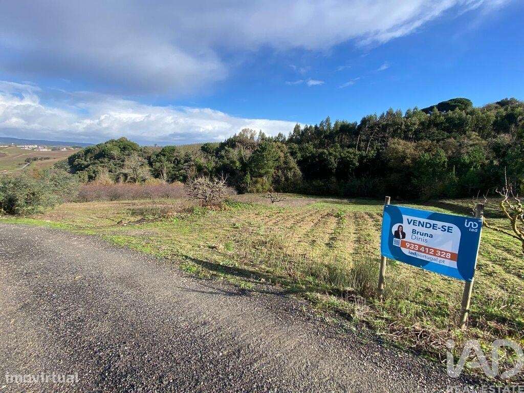 Terreno Agrícola em Santa Maria, São Pedro e Matacães - Grande imagem: 4/4