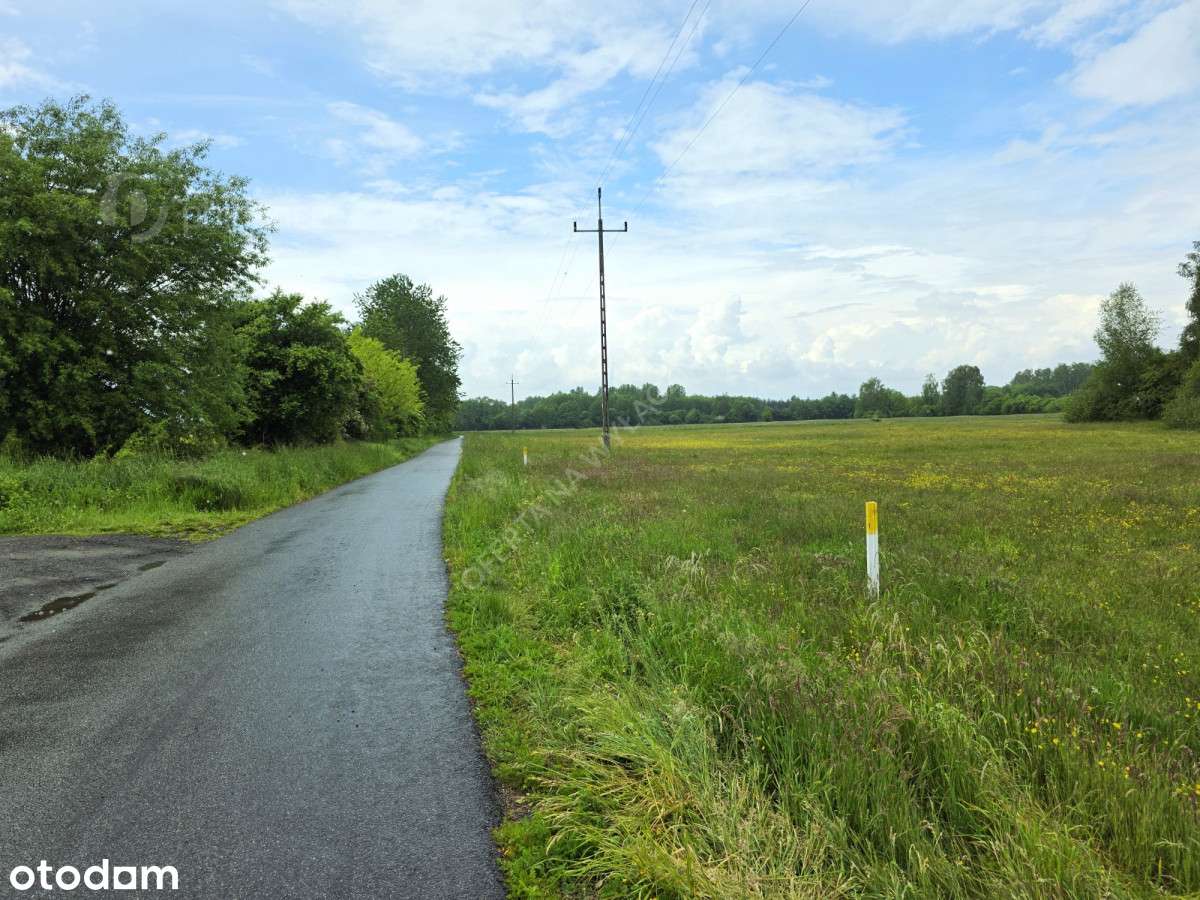 281981 - Pełny obrazek: 4/5