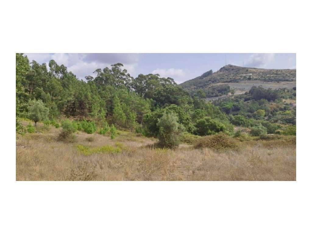 Terreno para Venda em Loures - Grande imagem: 5/11