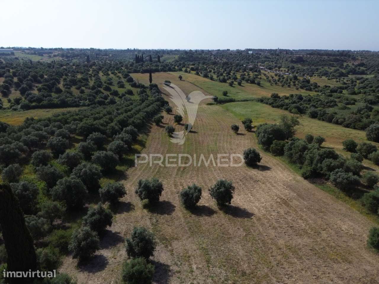 Terreno Rústico - Parceiros de Igreja, Torres Novas - Grande imagem: 2/22
