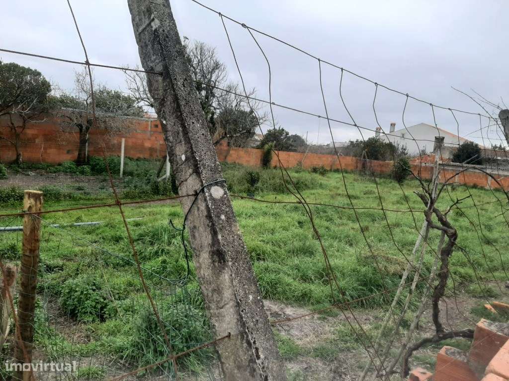 Terreno com 44 m frente Calvão - Vagos - Grande imagem: 4/10