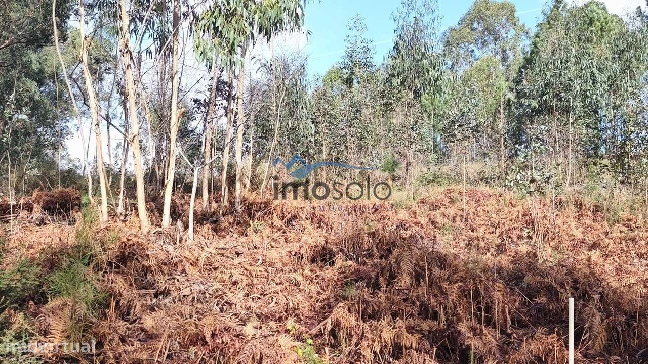 Terreno Rústico com 6350 m² em Zona Industrial-7