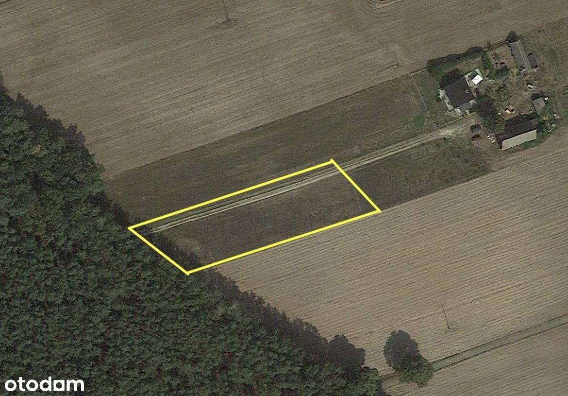 Działka budowlana przy lesie - BEZPOŚREDNIO - Pełny obrazek: 5/15