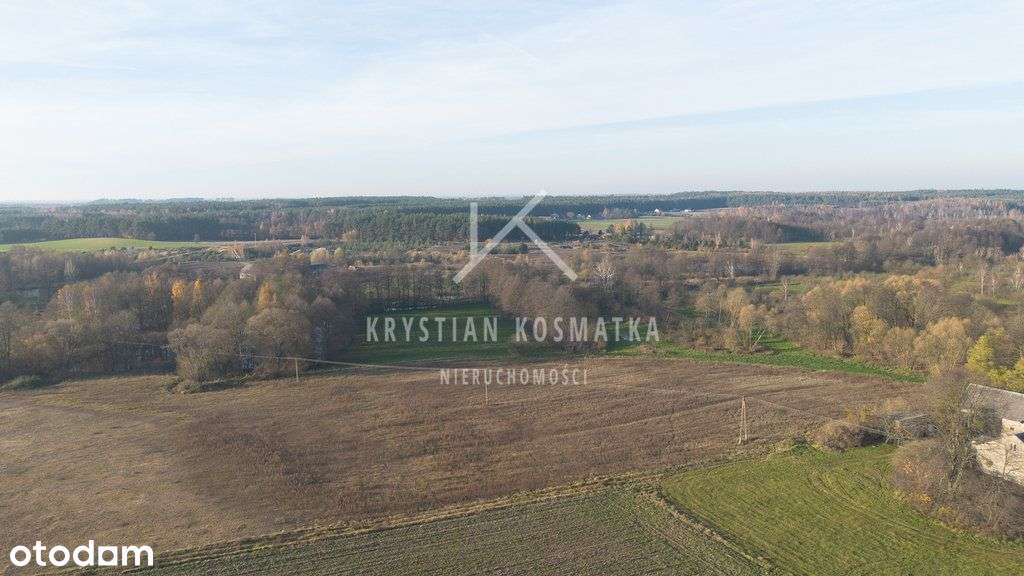 30 działek budowalnych- Rogowo, powiat rypiński - Pełny obrazek: 5/9