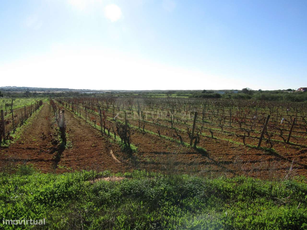 Terreno Rústico - Grande imagem: 4/8