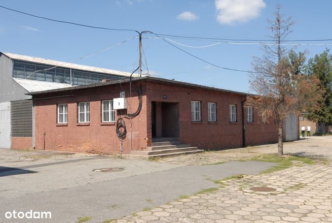Budynek biurowy do wynajęcia Wrocław