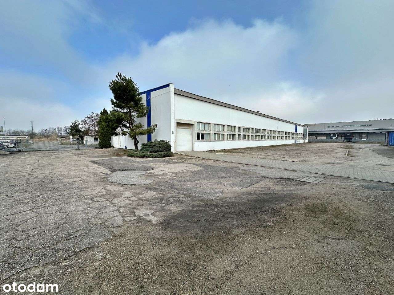 Magazyn z biurem i pom. socjalnym – ul. Obozowa - Pełny obrazek: 3/17