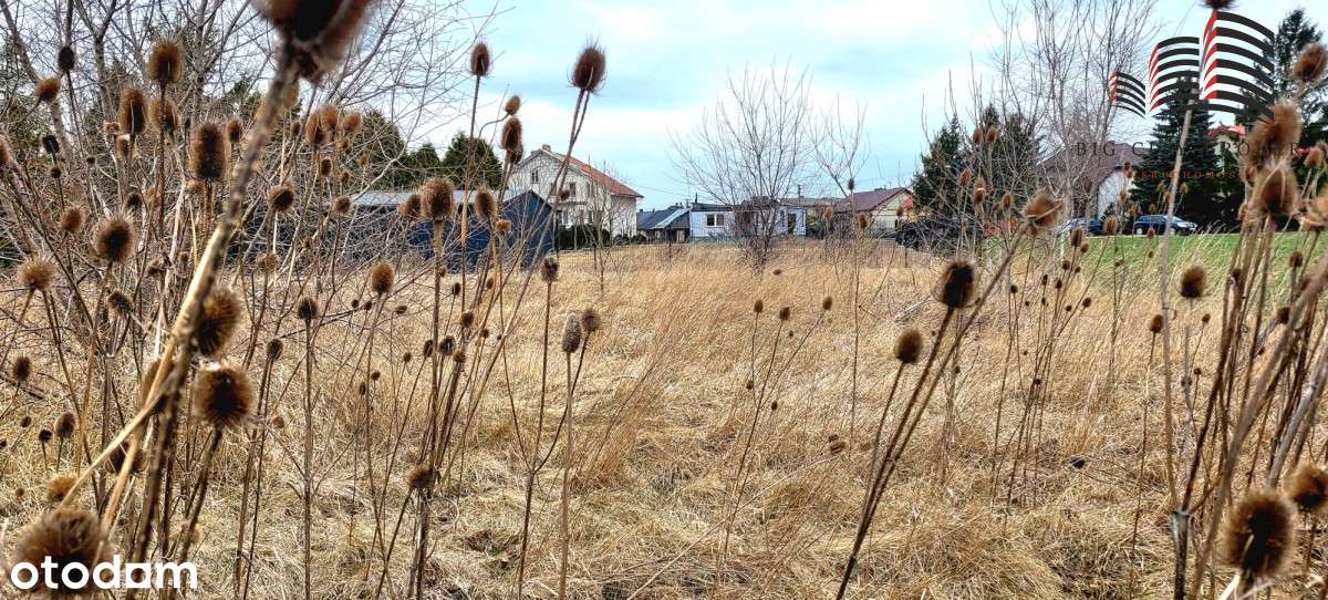 Działka usługowo-mieszkaniowa Opole Lub 30ar - Pełny obrazek: 4/4