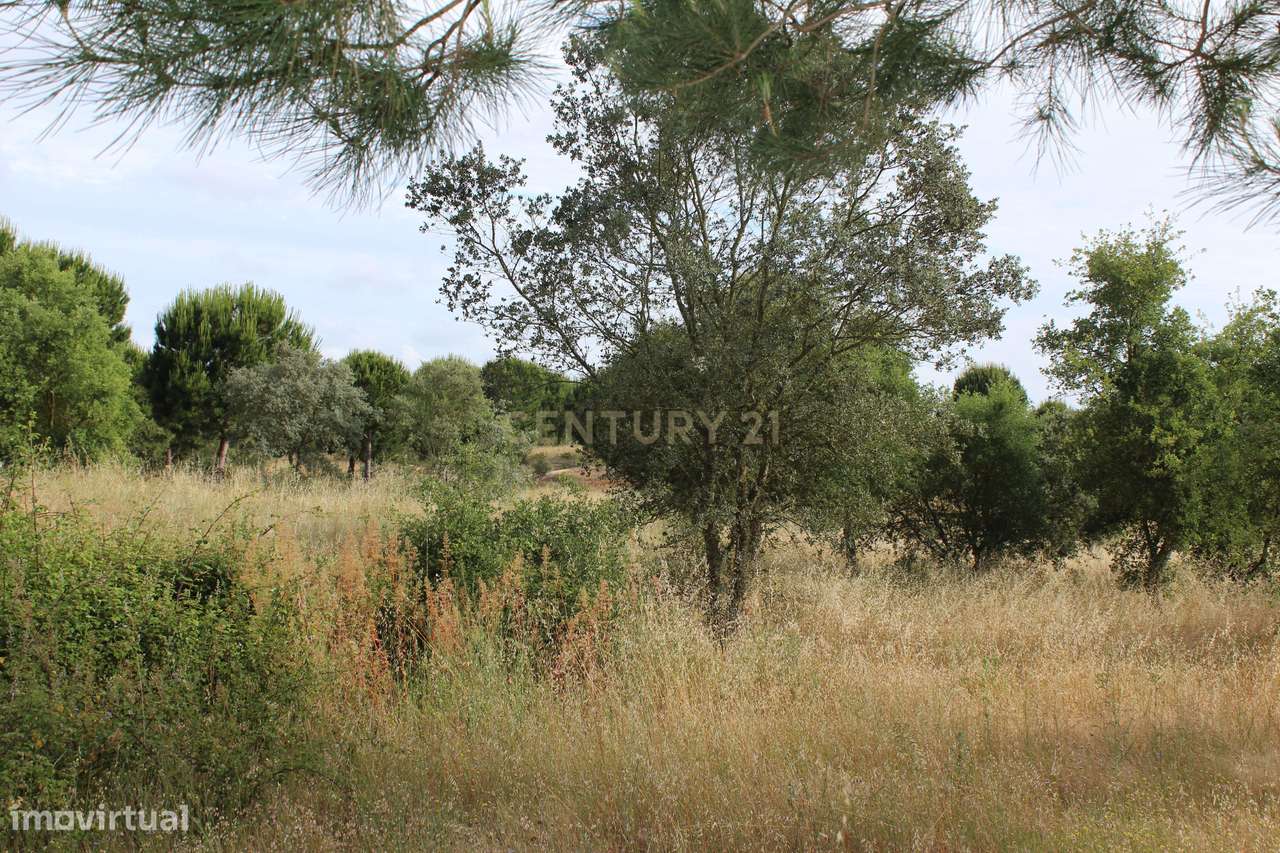 Terreno em Pegões Velhos com 16901 m2 - Grande imagem: 5/22